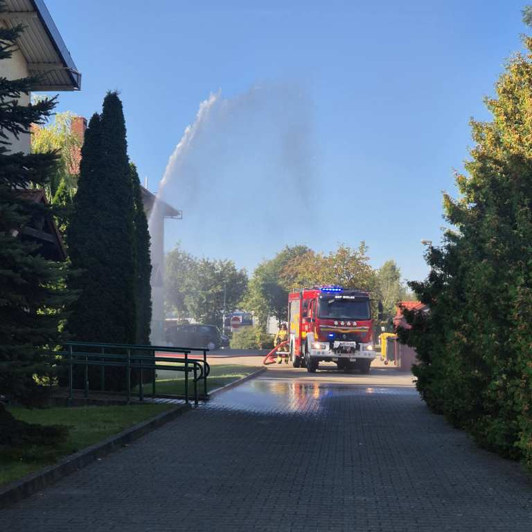 542720988_1308538411063809_5629700636833376475_n